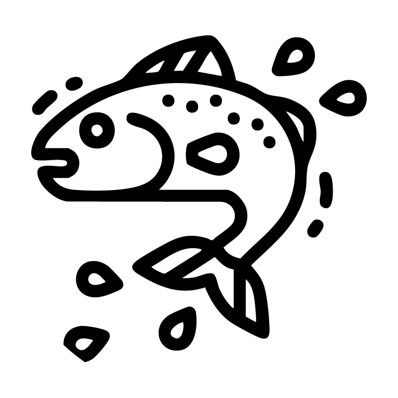 Salmon DNA Treatment icon